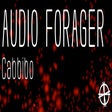 Icône du programme : Audio Forager