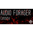 Audio Forager