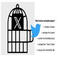 Twitter logo, favicon, page title and embeds icon