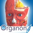 3D Organon Anatomy