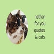 Nathan for You Quotes and Cats