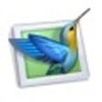 Icon of program: PicturesToExe Deluxe