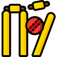 プログラムのアイコン：Cricket Score Counter