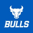 Ikon program: UB Horns Up