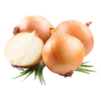 Icon of program: Лук: от «А» до «Я»