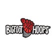 Иконка программы: Bigfoot Hoops