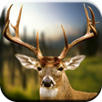 Programikonen: Deer Hunting Calls Soundb…