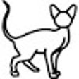Programikonen: Netsuite Sphynx