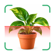 Icon of program: Plant Identifier App