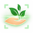 Icoon van programma: Plant Finder By Photo