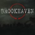 Ícone do programa: The Brookhaven Experiment…