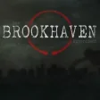 The Brookhaven Experiment PS VR PS4
