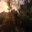 Icon of program: Soul Spectrum Reshade