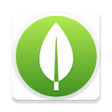 程序图标：MongoDB Database