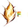 Ikon program: firestickhelp