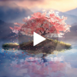 Иконка программы: Lone Cherry Blossom Tree …