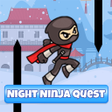 رمز البرنامج: Night Ninja Quest