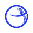 Ikon program: Beehive VPN