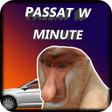 Programikonen: Passat w Minute