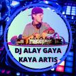 DJ Alay Gaya Kaya Artis