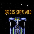Ikon program: Bricks Survivors
