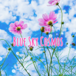 Blue Sky Cosmos Theme icon