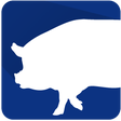 プログラムのアイコン：PigPlus
