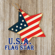 プログラムのアイコン：U.S.A. Flag Star Theme
