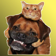 Programikonen: Figurinhas de Animais - G…