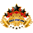 Programikonen: GOLD STAR VPN