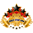 GOLD STAR VPN