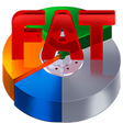 プログラムのアイコン：RS FAT Recovery
