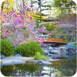 Garden Wallpaper icon