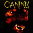 Canine icon