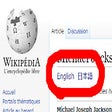 プログラムのアイコン: Wikipedia-Interlink