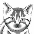 プログラムのアイコン：How to Draw Cats