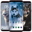 Icon of program: Siberian Husky Wallpaper