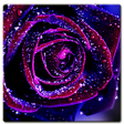 Icono de programa: HD Wallpaper