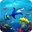 Aquarium koi Fish 3D Wallpaper