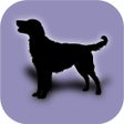 Programın simgesi: Dogs Family