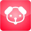 Cute Puppy Theme by Micromax