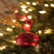 Ikon program: Merry Christmas Gif