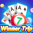 Winner Trip: Bingo  Solitaire