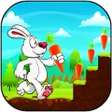 Ikon program: Bunny Run