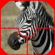 プログラムのアイコン：ZEBRA HUNTER