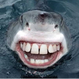 Ikona programu: kill oboma and shark