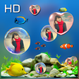 程序图标：Bubble photo live wallpap…