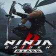 Иконка программы: Ninja Gaiden II Black