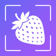 Icon of program: HUD+ AI Calorie Counter