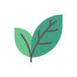 أيقونة البرنامج: 브랜치스 Branches